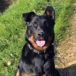 Avatar de l’utilisateur/utilisatrice